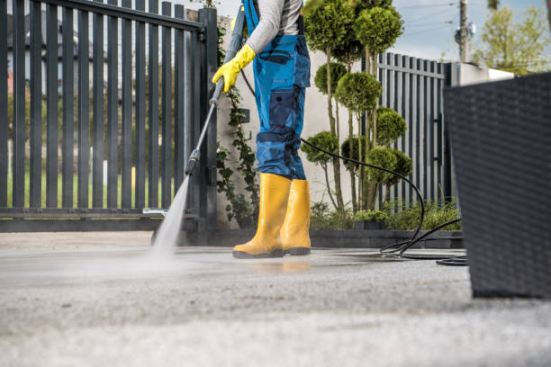 Best Roof Pressure Washing  in Sandy, UT